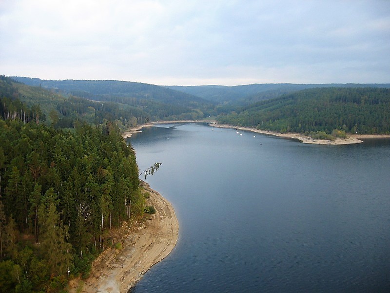 Orlik